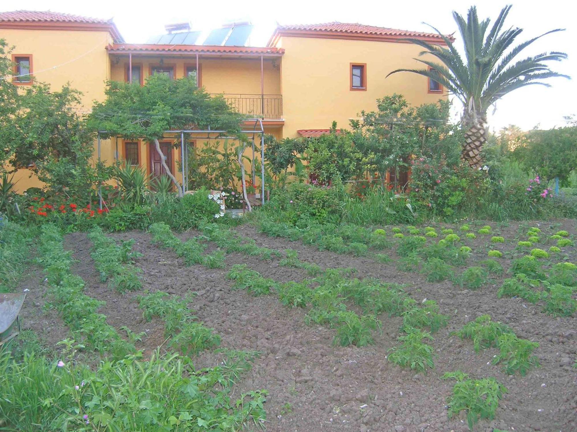 Apartment Acapoulco